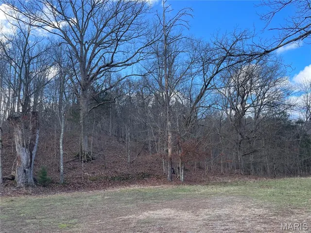 $169,000 | 1212 Hwy CC, Piedmont, MO 63957