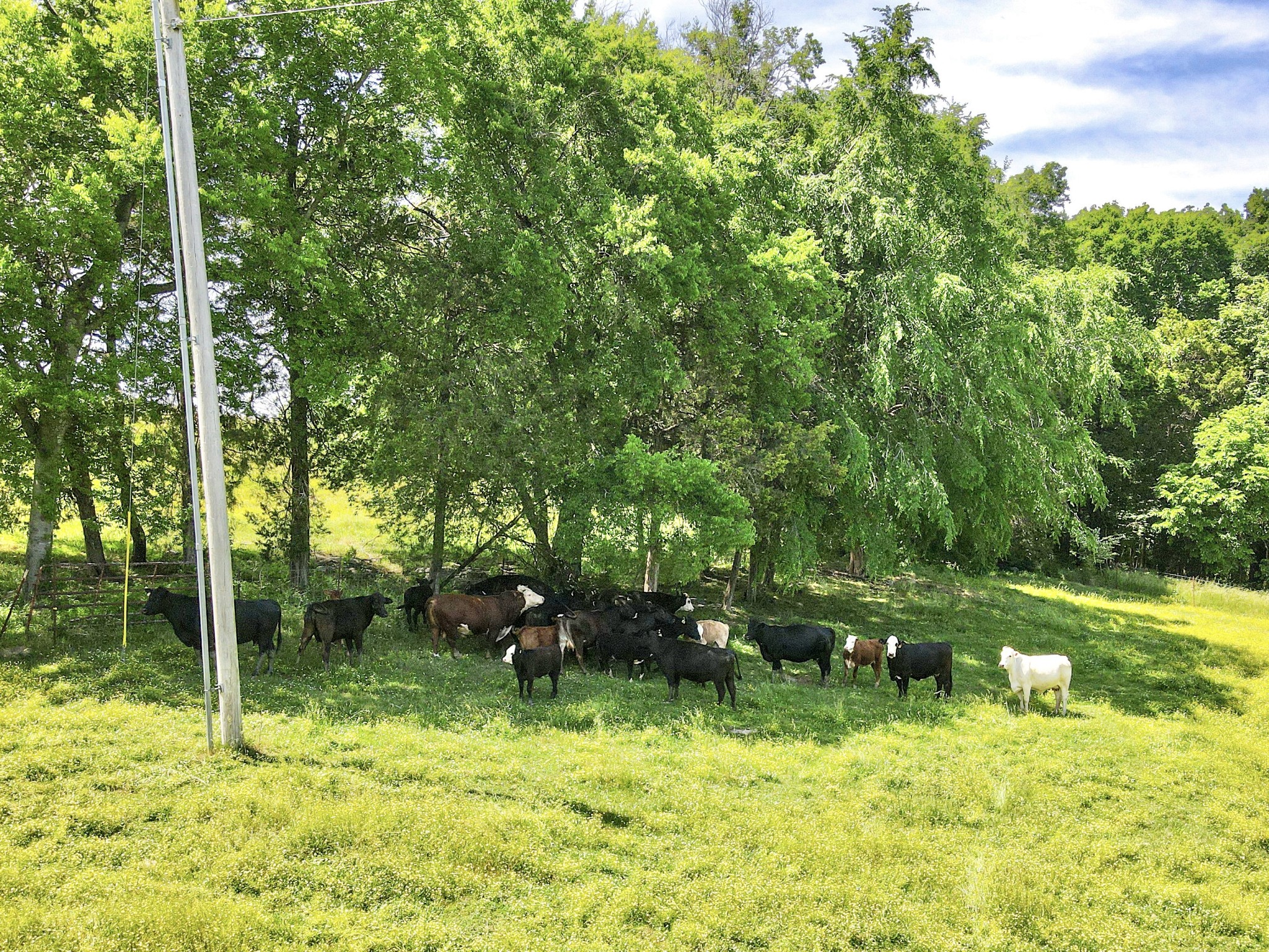 0 Hill Station Road Columbia, TN 38401 - Photo 15 of 38 Gallery Image 15