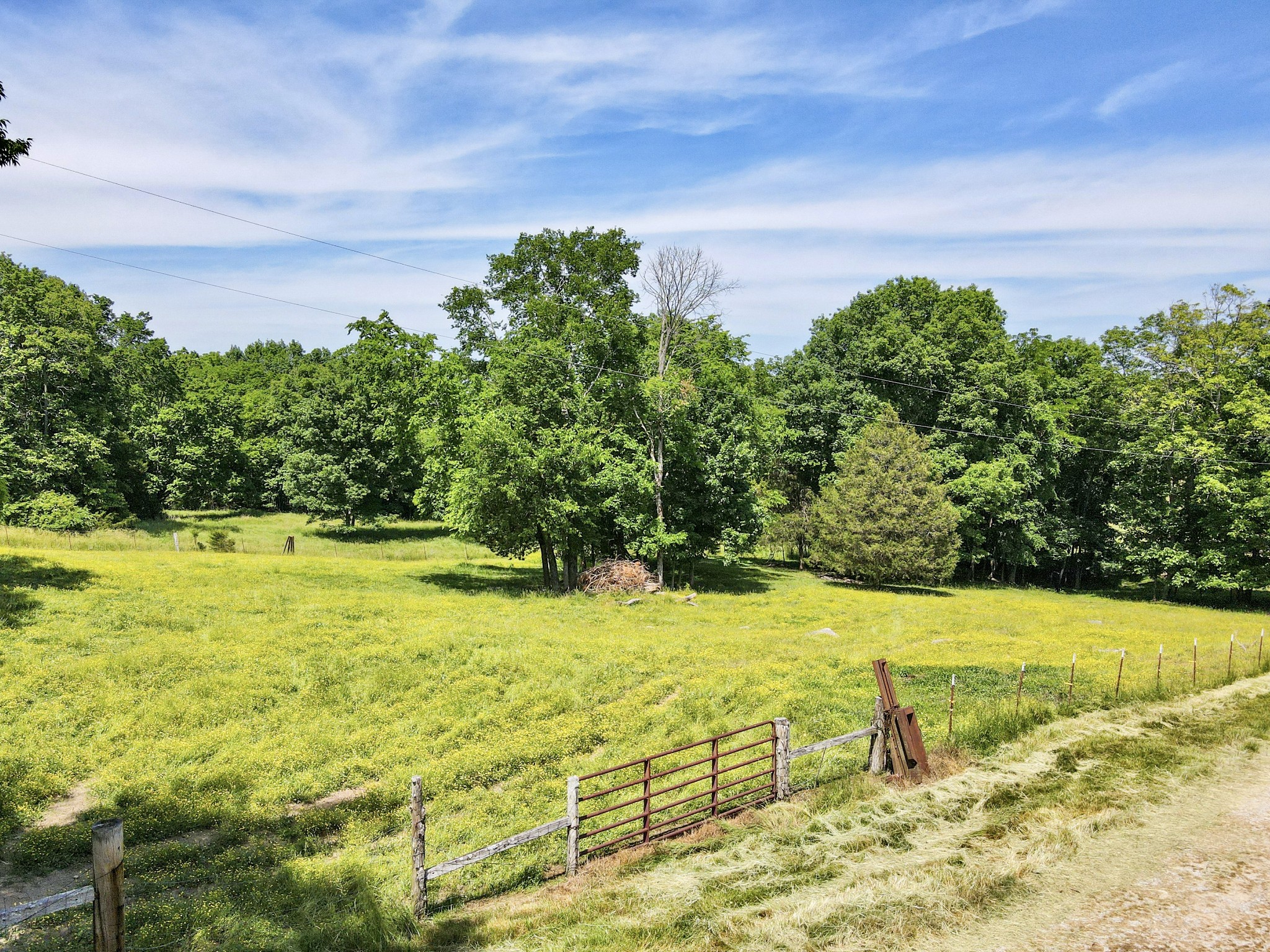 0 Hill Station Road Columbia, TN 38401 - Photo 16 of 38 Gallery Image 16