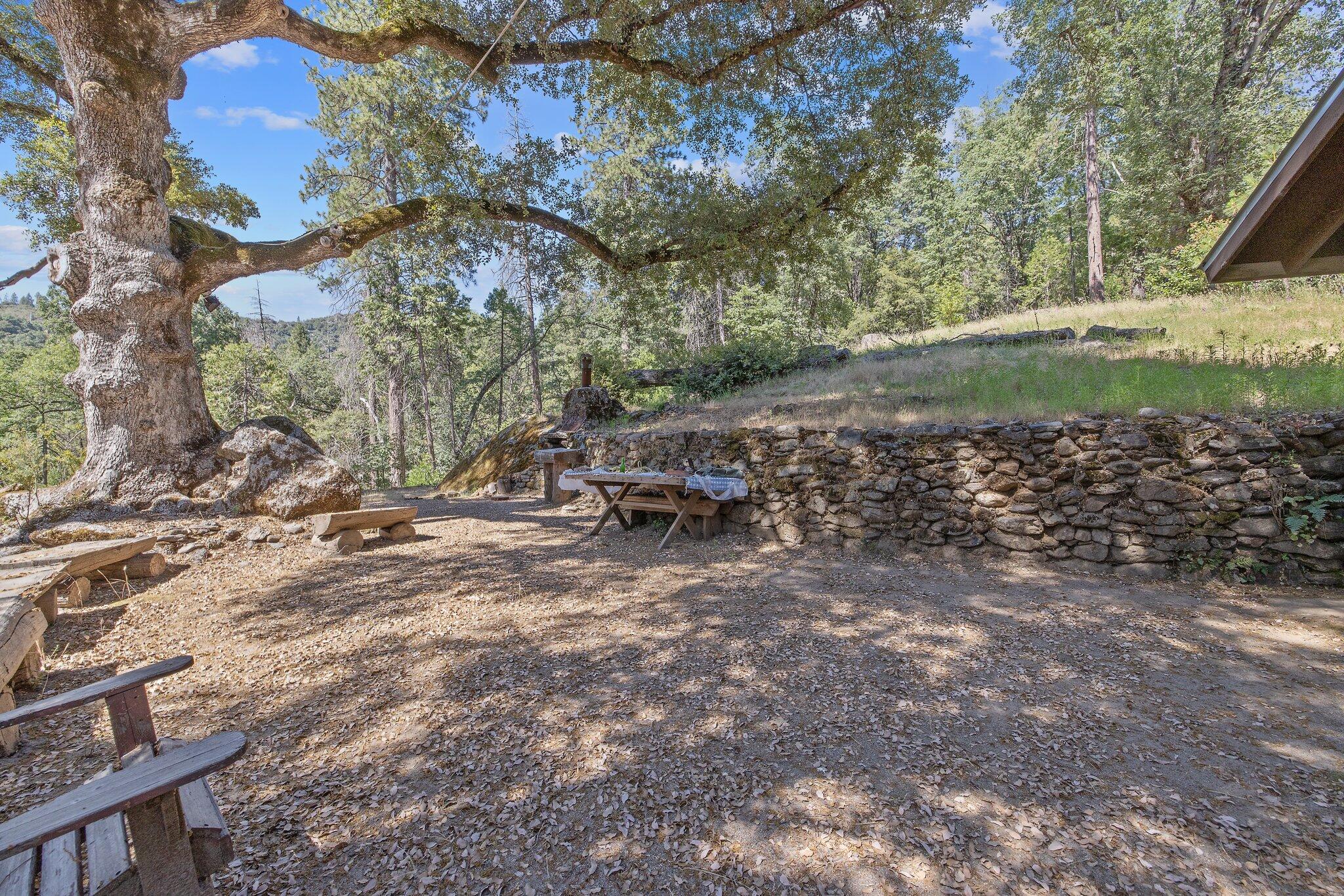 48675 Todd Eymann Road Miramonte, CA 93641 - Photo 46 of 103 45-web-or-mls-713A7223