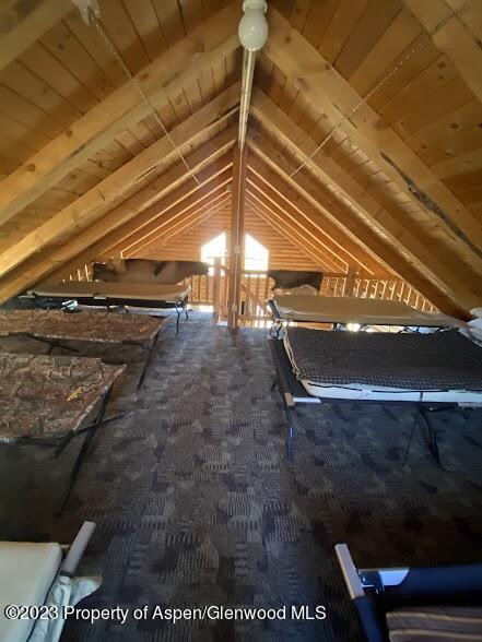 80 Sapling Lane Craig, CO 81625 - Photo 11 of 27