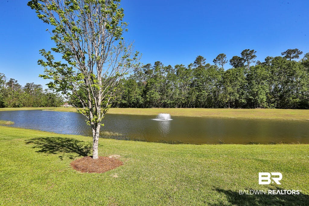 229 Hemingway Loop Foley, AL 36535 - Photo 20 of 20