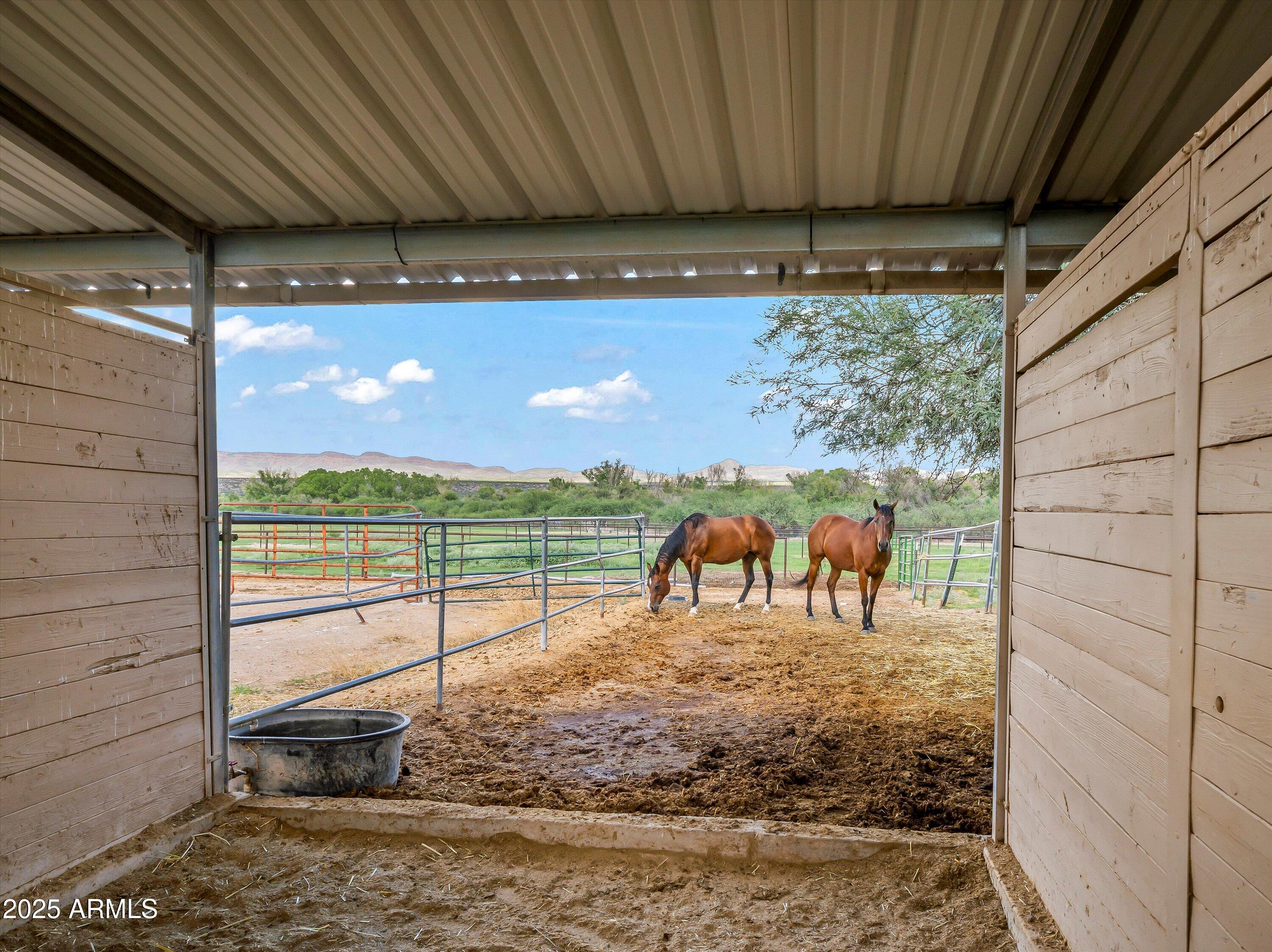 4489 North Ocotillo Road Benson, AZ 85602 - Photo 39 of 60 Stables