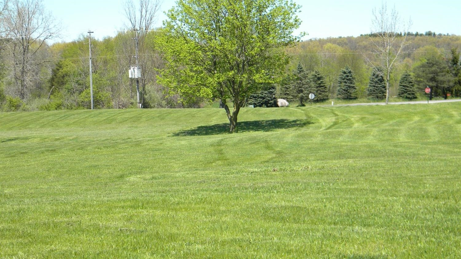 18193 West Austin Road Manchester, MI 48158 - Photo 5 of 8 Photo 5