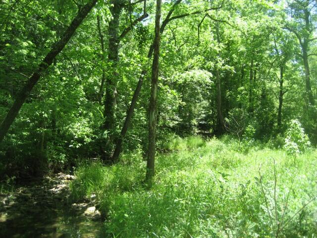 1234 C Rutherford School Road Lawrenceburg, KY 40342 - Photo 11 of 14 IMG_0419 (Small)