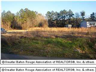 32620 Percy Young Road Walker, LA 70785 - Photo 1 of 1 Gallery Image 1