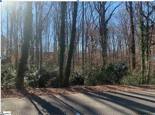 $44,500 | Lane Drive, Gaffney, SC 29340