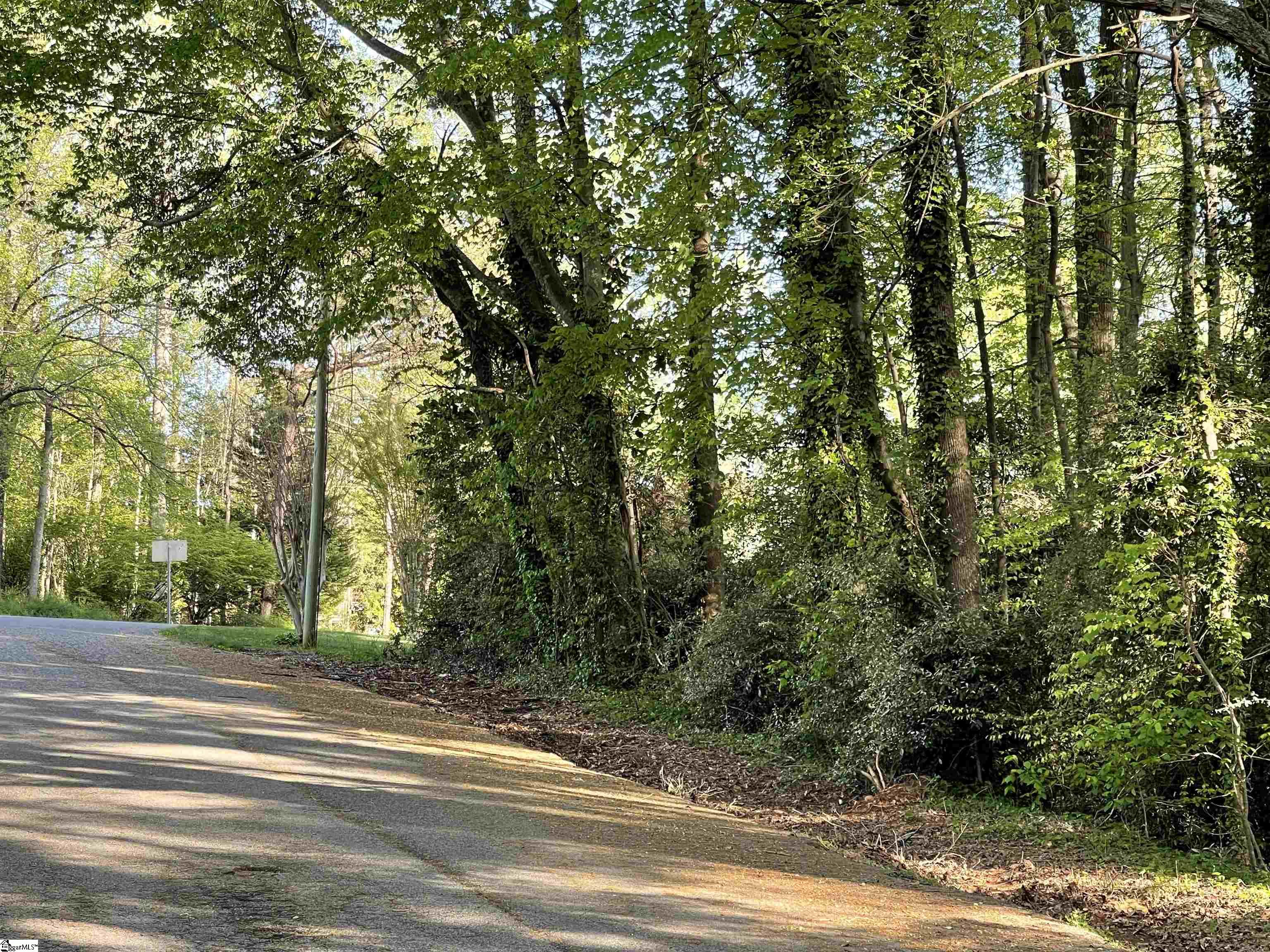Lane Drive Gaffney, SC 29340 - Photo 2 of 6