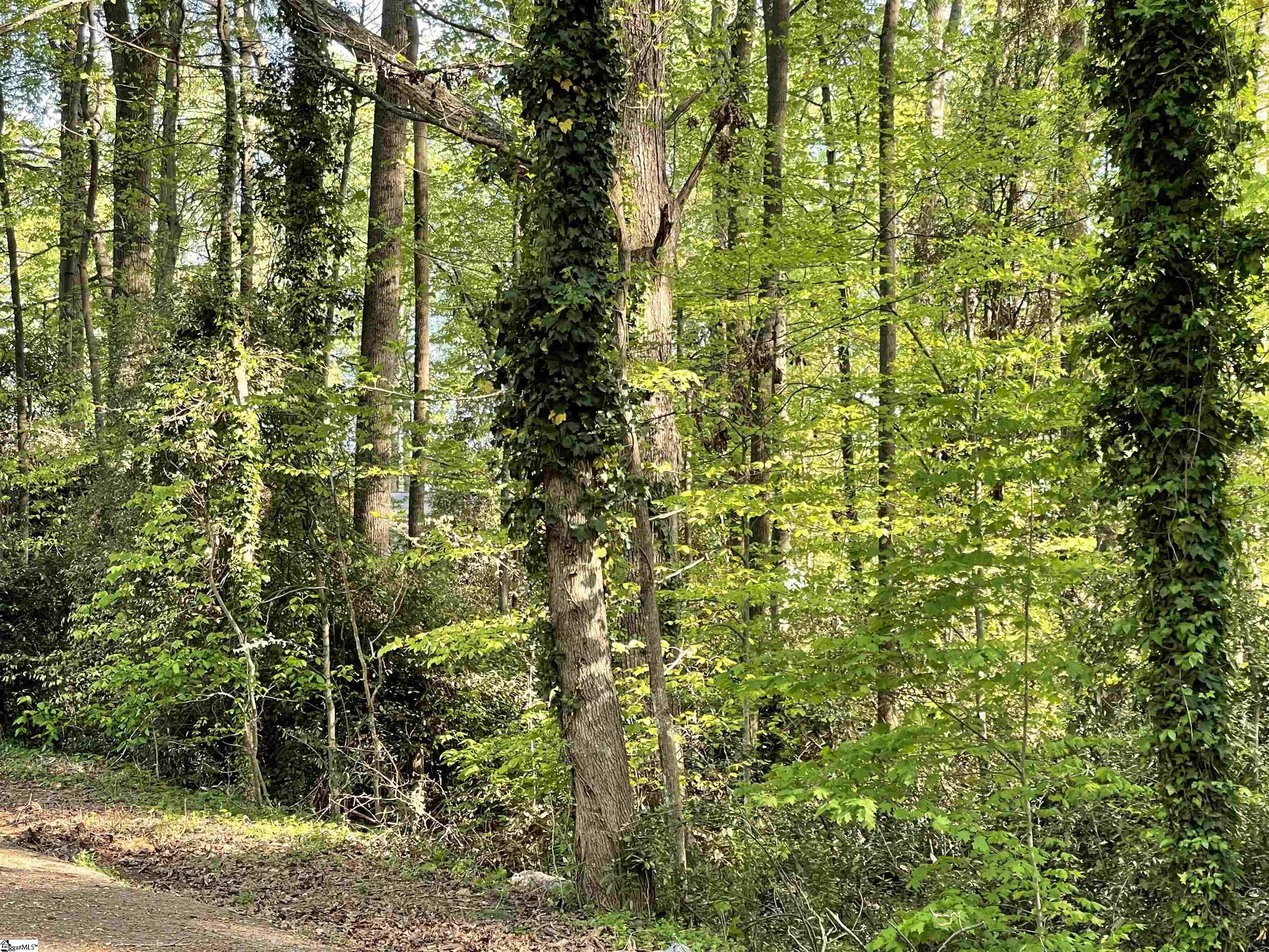 Lane Drive Gaffney, SC 29340 - Photo 3 of 6