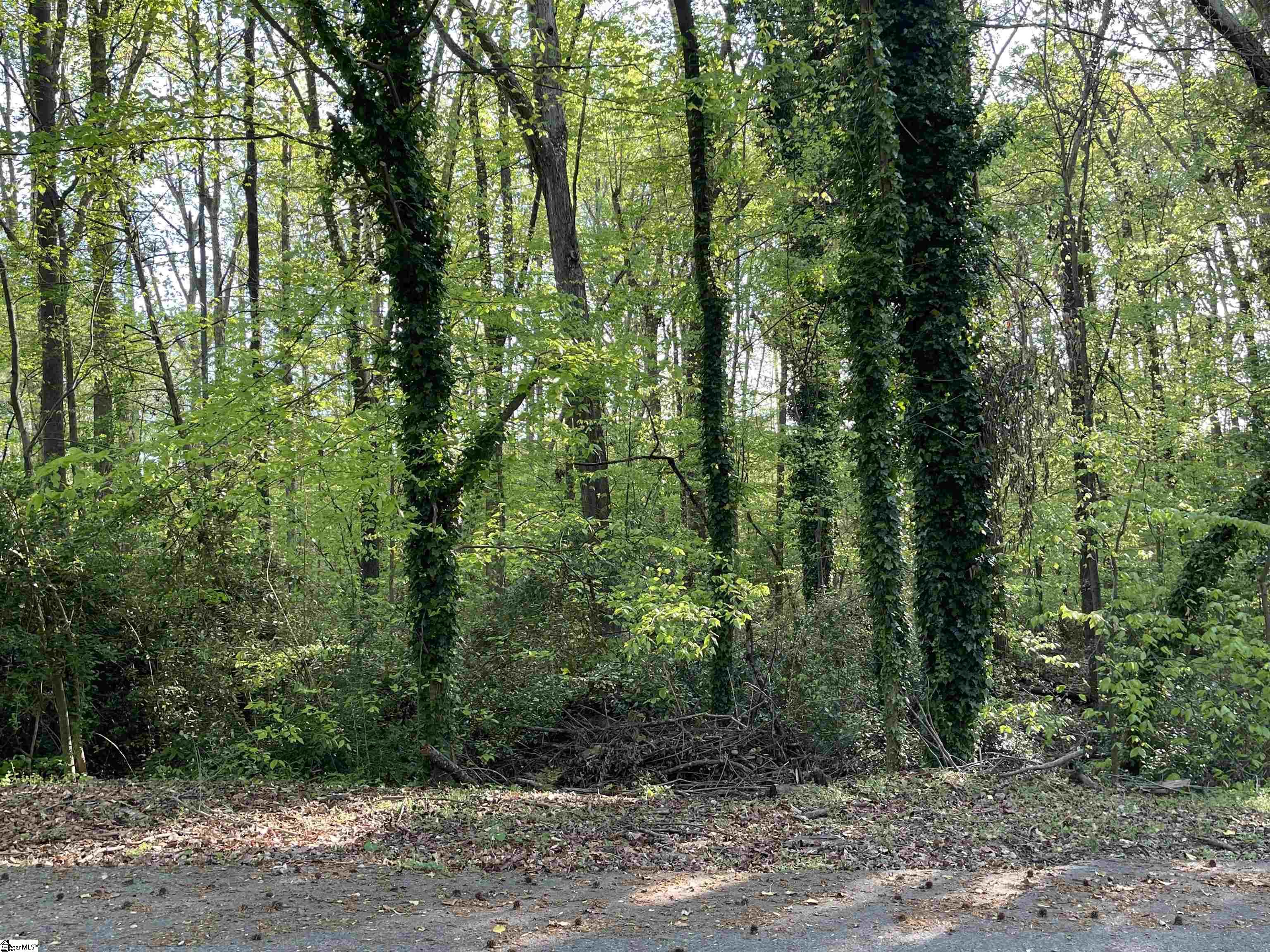 Lane Drive Gaffney, SC 29340 - Photo 4 of 6
