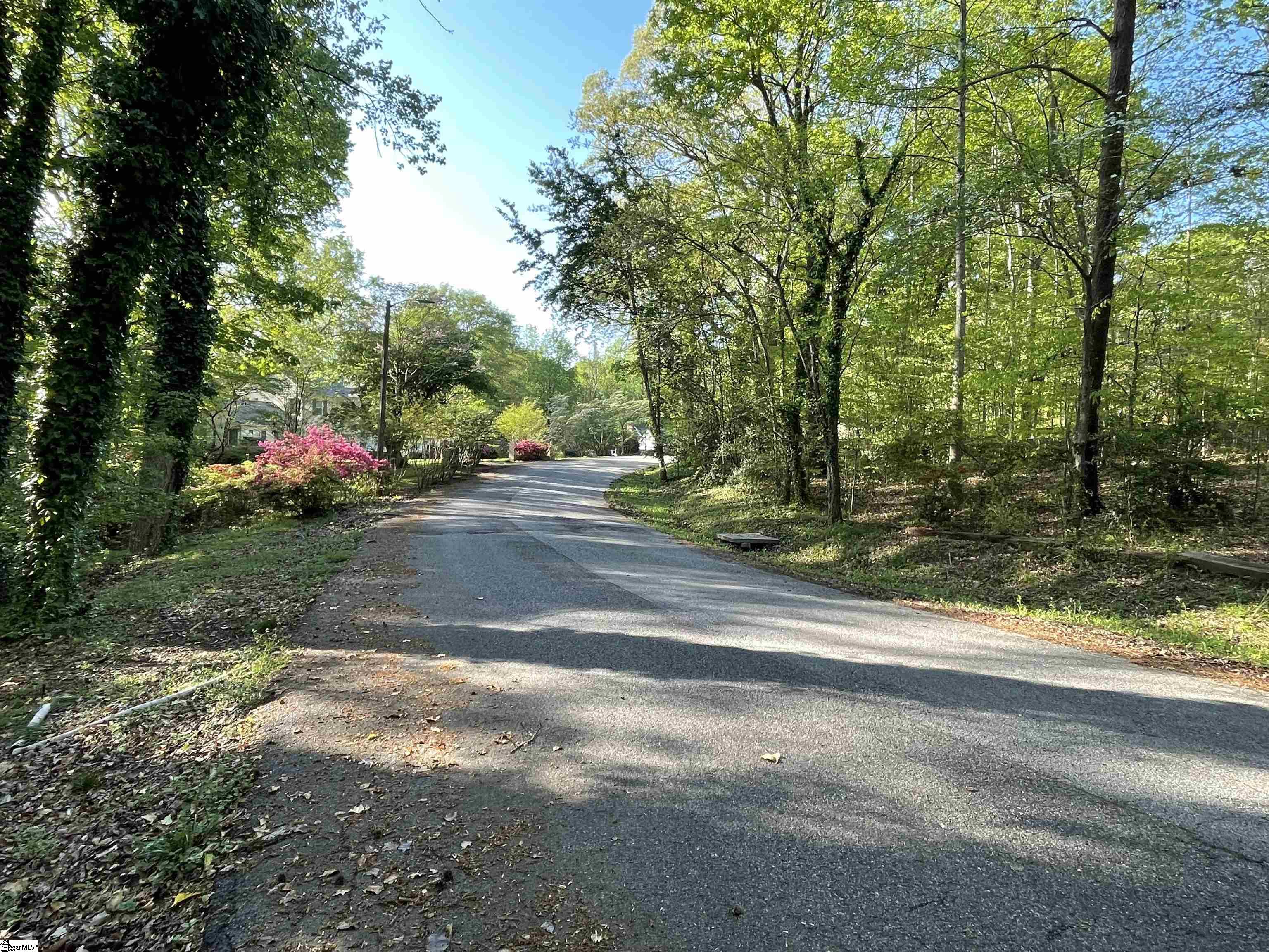 Lane Drive Gaffney, SC 29340 - Photo 6 of 6