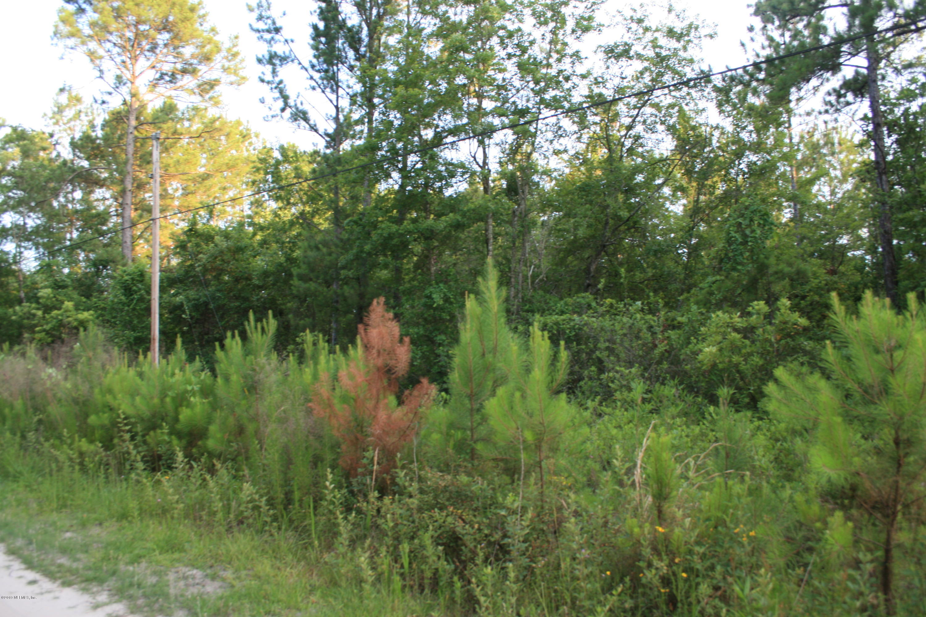 6012 Blueberry Hill Road Keystone Heights, FL 32656 - Photo 6 of 11 IMG_0210