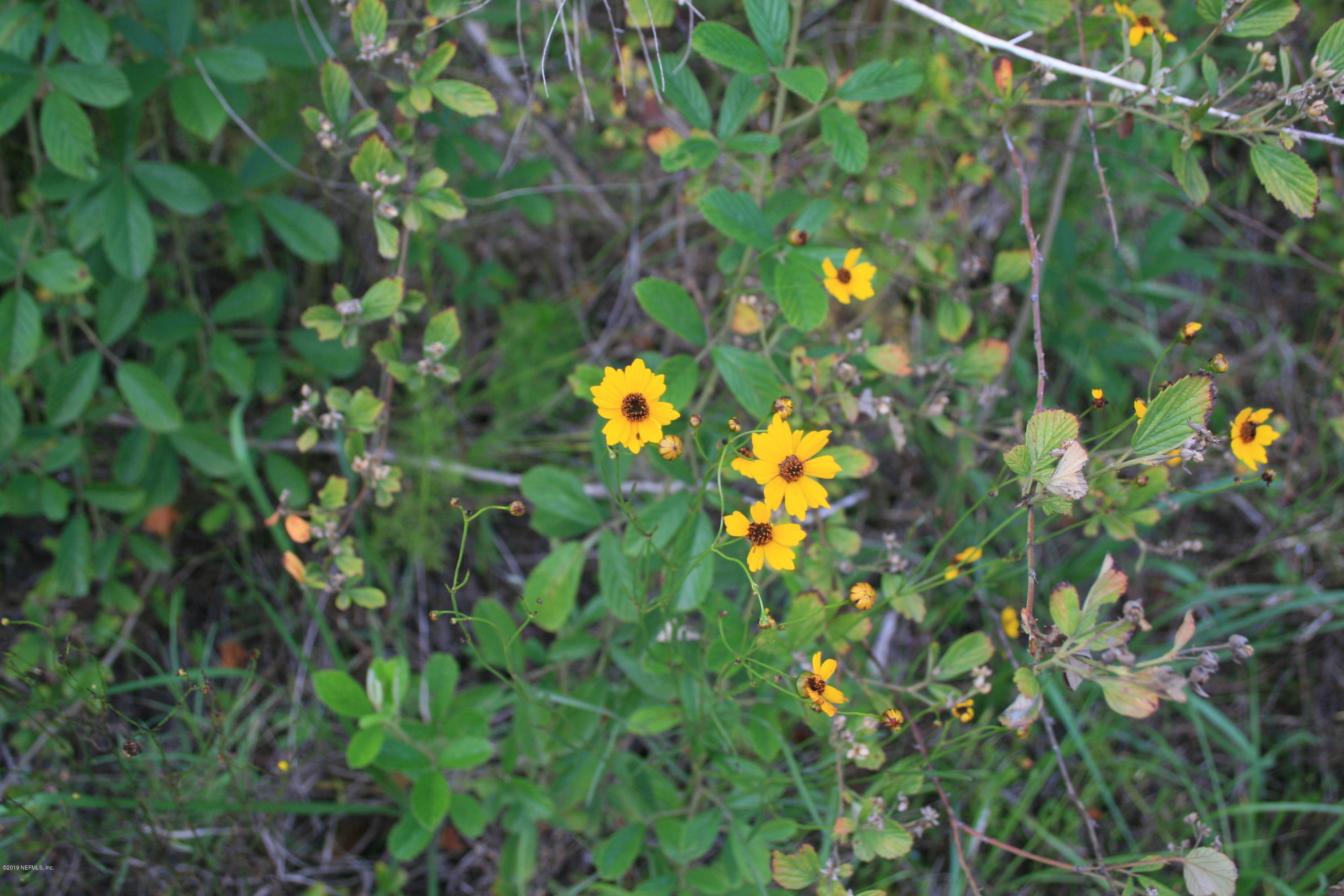 6012 Blueberry Hill Road Keystone Heights, FL 32656 - Photo 8 of 11 IMG_0219