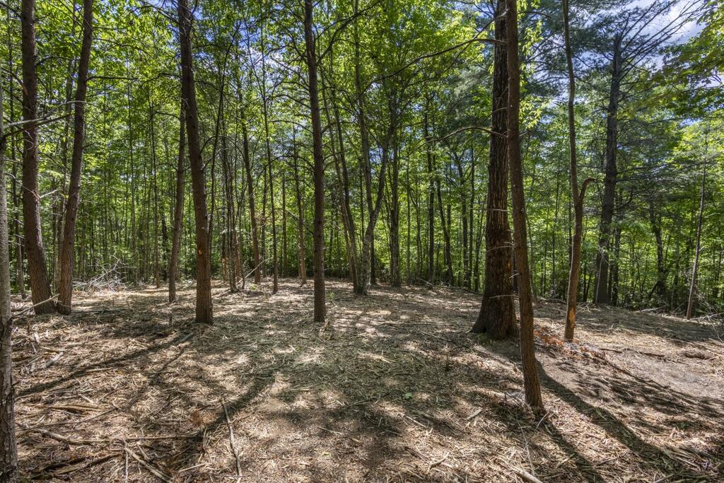 34-ac Donley Road Murphy, NC 28906 - Photo 14 of 37 Gallery Image 14