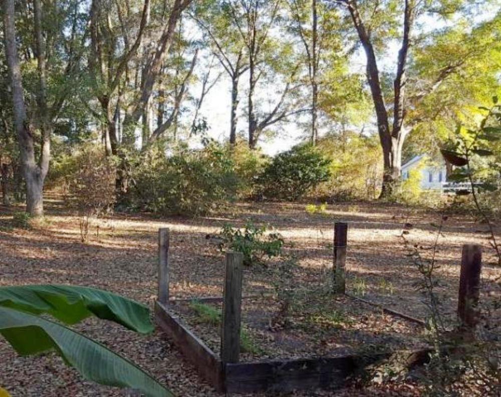 1485 McCauley Road Baker, FL 32531 - Photo 22 of 24 a view of a yard with wooden fence