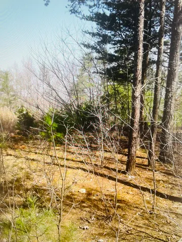 $59,000 | Lot 27 Garrison Ridge, Pittsville, VA 24139