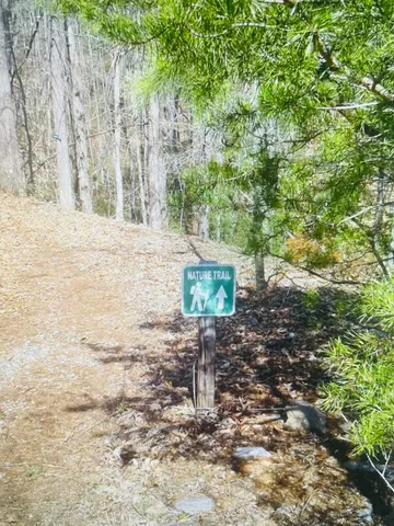 $59,000 | Lot 27 Garrison Ridge, Pittsville, VA 24139