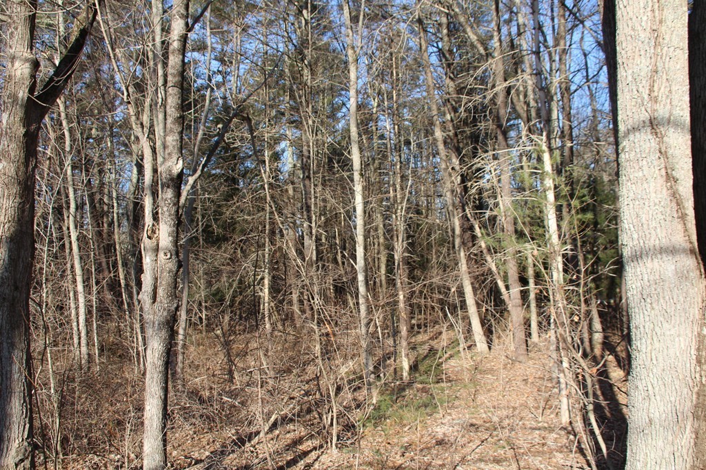 2 & 3 Northwest Road Spencer, MA 01562 - Photo 11 of 14 Gallery Image 11