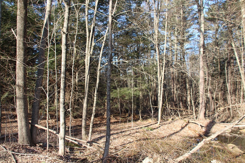 2 & 3 Northwest Road Spencer, MA 01562 - Photo 12 of 14 Gallery Image 12