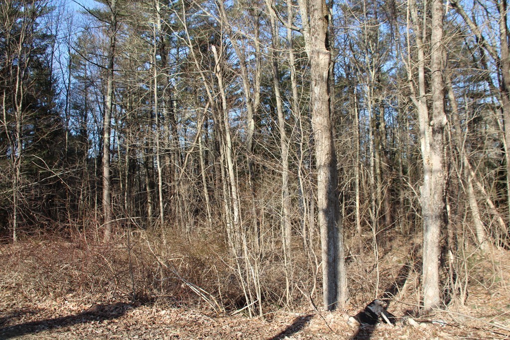 2 & 3 Northwest Road Spencer, MA 01562 - Photo 6 of 14 Gallery Image 6