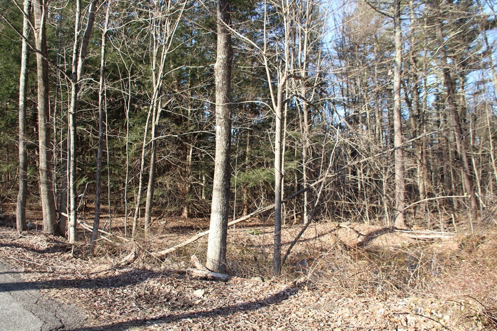2 & 3 Northwest Road Spencer, MA 01562 - Photo 7 of 14 Gallery Image 7