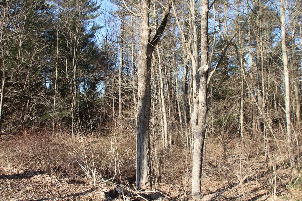 2 & 3 Northwest Road Spencer, MA 01562 - Photo 8 of 14 Gallery Image 8