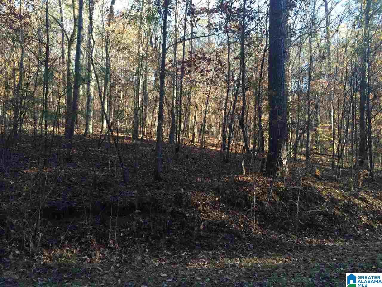 0 Berrington Lane, Unit 9 ACRES Springville, AL 35146 - Photo 3 of 4
