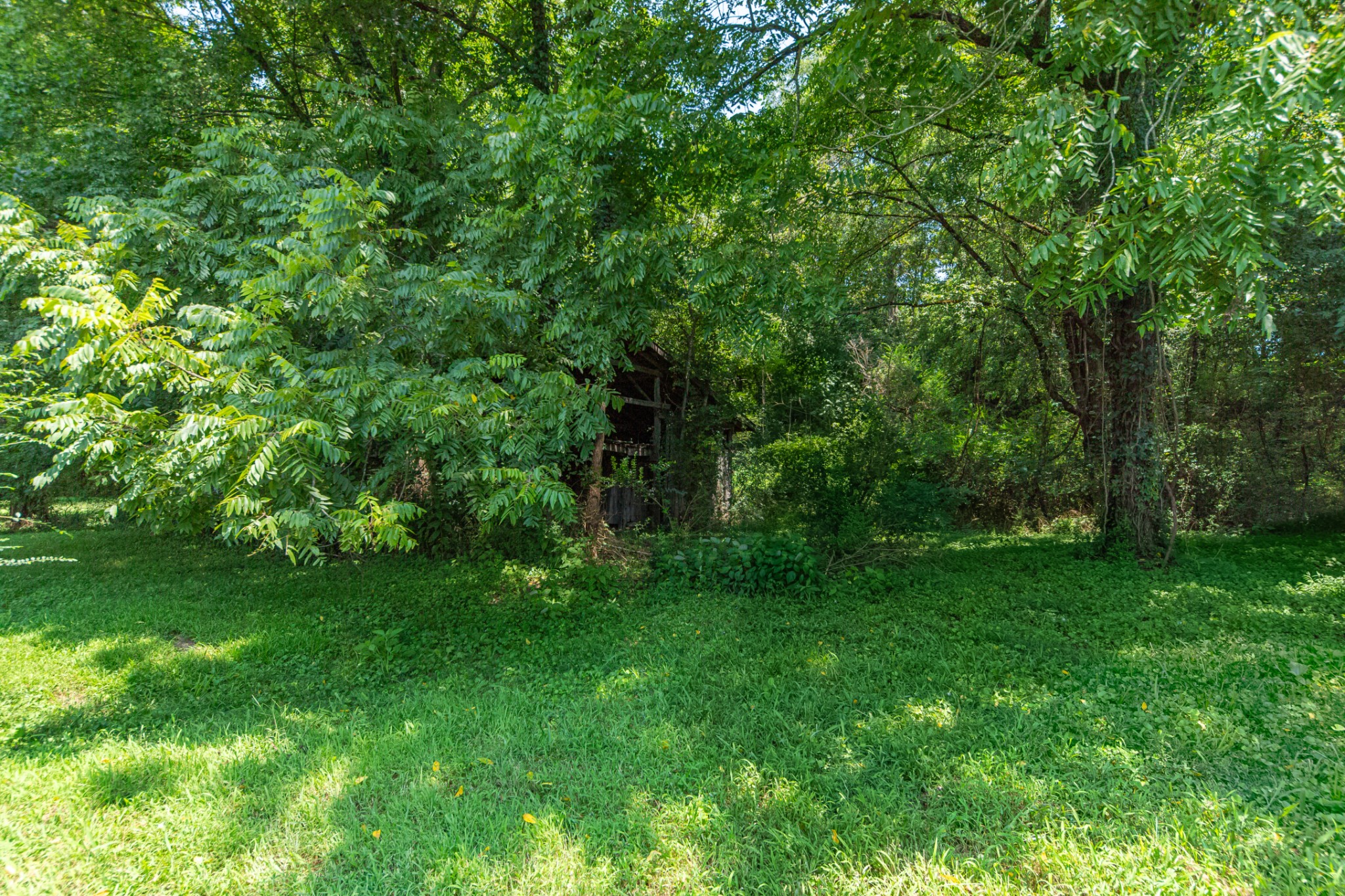 2863 North Cross Bridges Road Columbia, TN 38401 - Photo 74 of 81 Gallery Image 74
