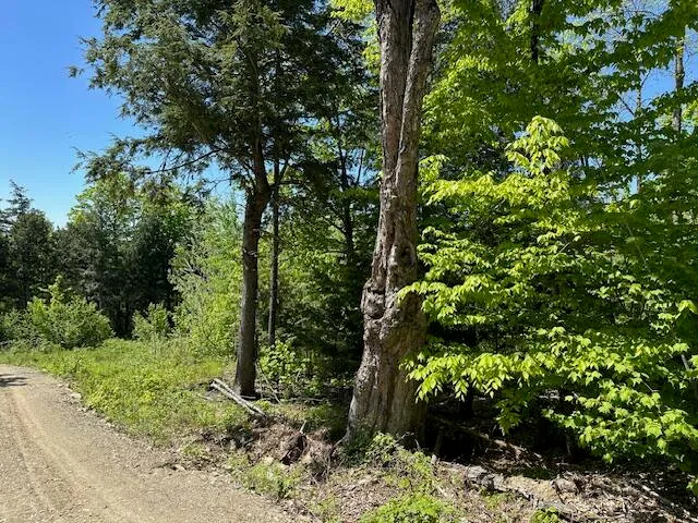 $19,999 | Lot 6 Mt Jefferson Heights, Lee, ME 04455