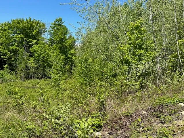 $19,999 | Lot 6 Mt Jefferson Heights, Lee, ME 04455