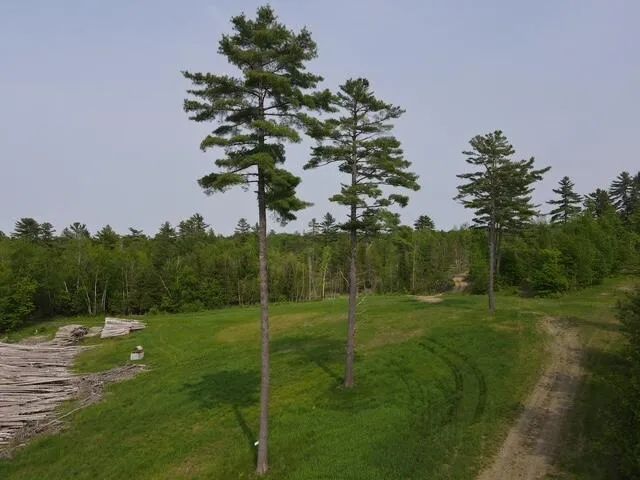 $19,999 | Lot 6 Mt Jefferson Heights, Lee, ME 04455