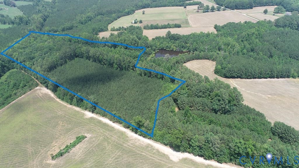 0 Reedy Branch Road Kenbridge, VA 23944 - Photo 2 of 5 The blue line shows the approximate easement. The