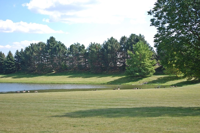 1363 Miller Road Geneva, IL 60134 - Photo 22 of 22