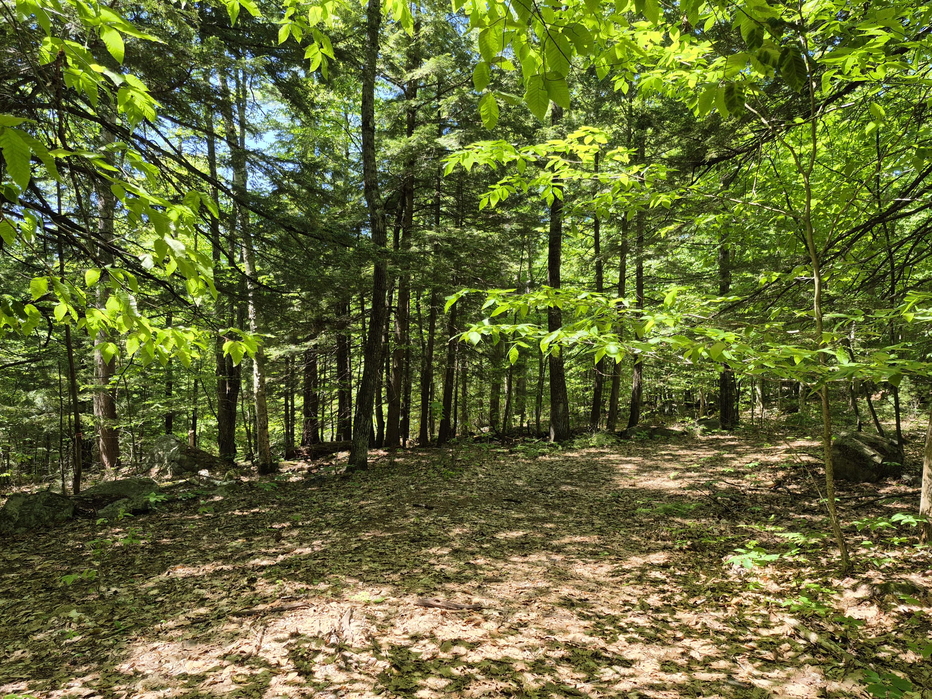 Lot 36 Foster Lane Belgrade, ME 04917 - Photo 3 of 8 20250603_134507 (1)