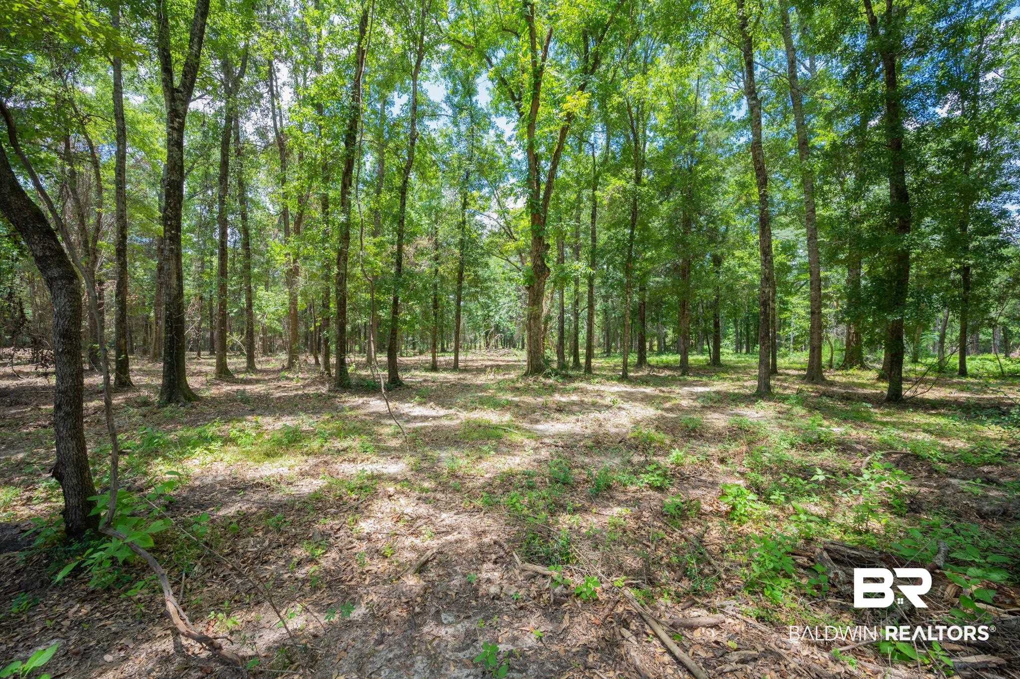 0 Hurricane Road Bay Minette, AL 36507 - Photo 3 of 30