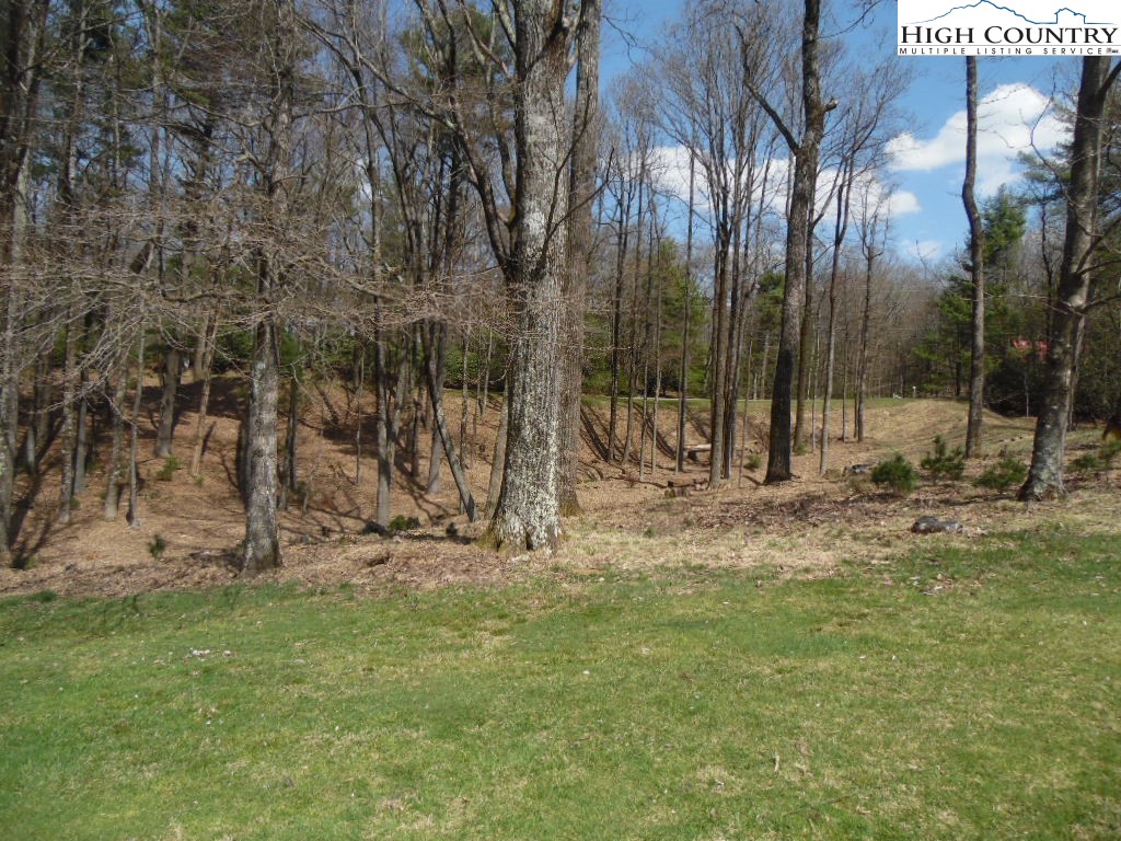Country Club Road Glade Valley, NC 28627 - Photo 3 of 4 Gallery Image 3