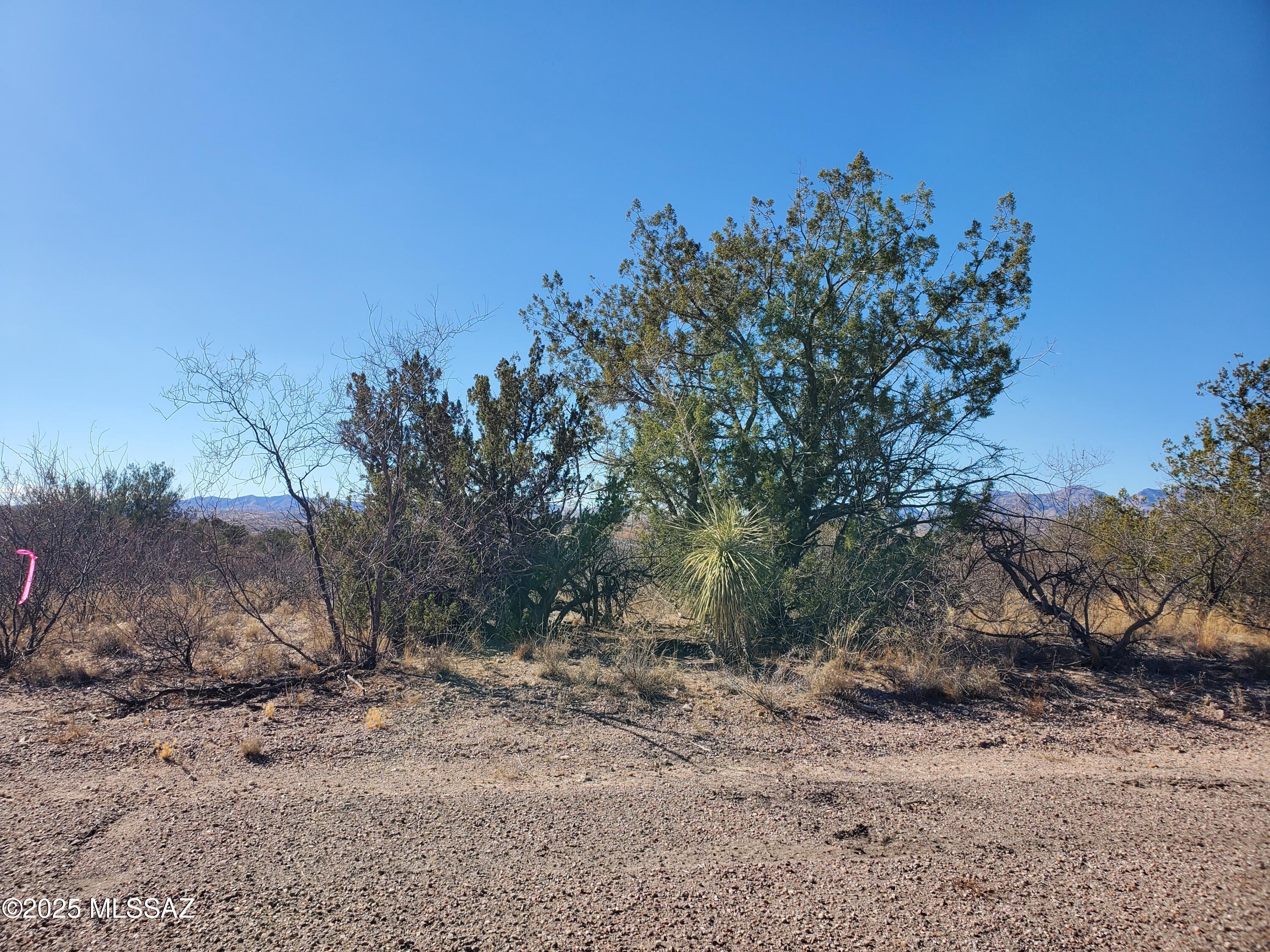 133 Juego Court, Unit 21 Rio Rico, AZ 85648 - Photo 10 of 11