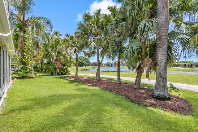 a view of a backyard with palm trees