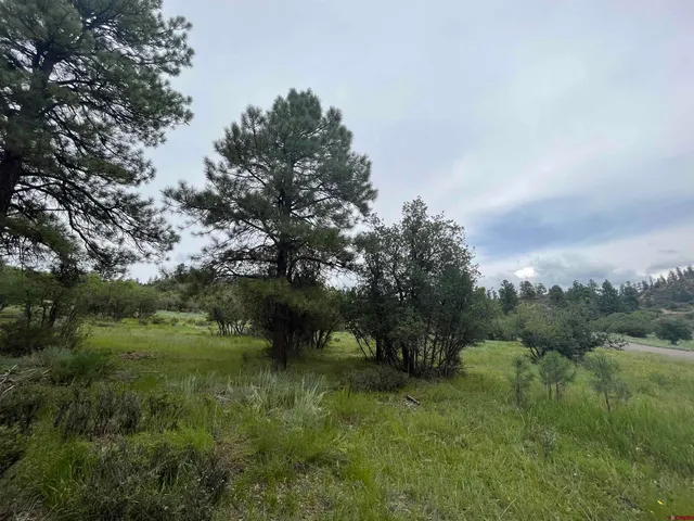 a view of a green field with lots of bushes