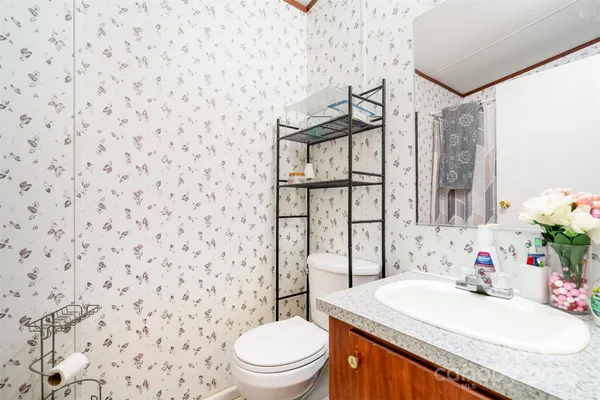 a room with furniture and a potted plant