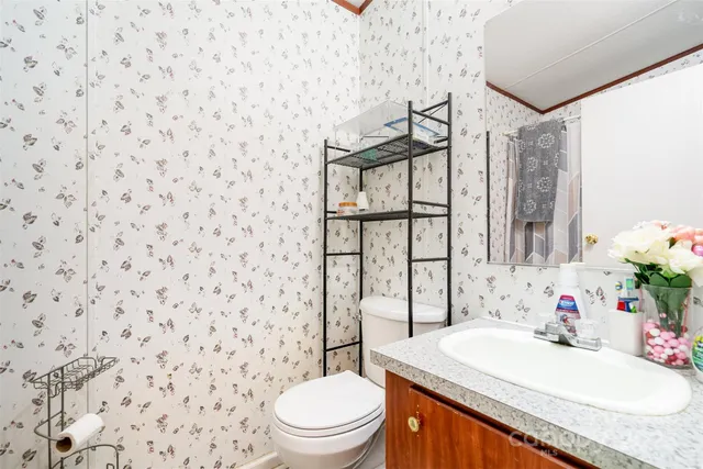 a room with furniture and a potted plant