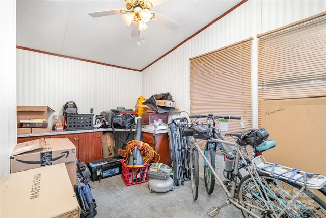 a view of a backyard with large trees