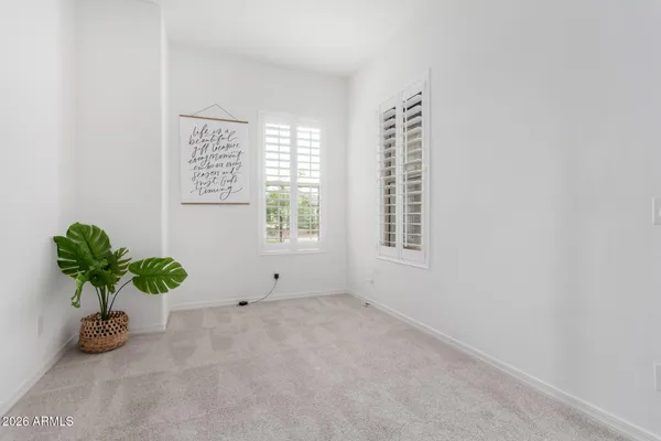 a view of a potted plant in a room