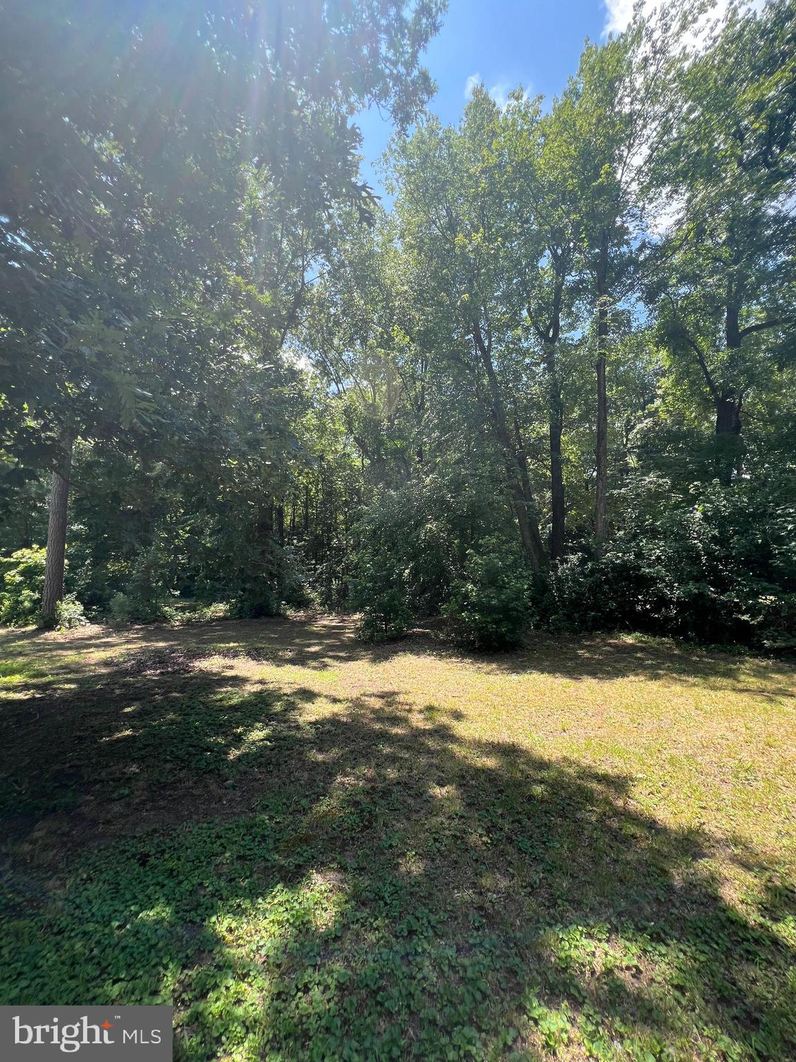 Gun & Rod Club Road Houston, DE 19954 - Photo 2 of 5