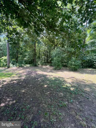 $99,000 | Gun & Rod Club Road, Houston, DE 19954