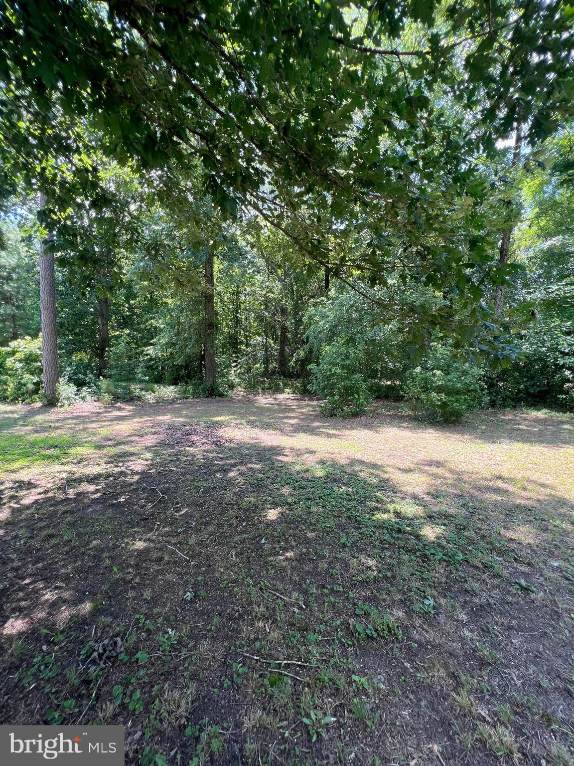 Gun & Rod Club Road Houston, DE 19954 - Photo 3 of 5