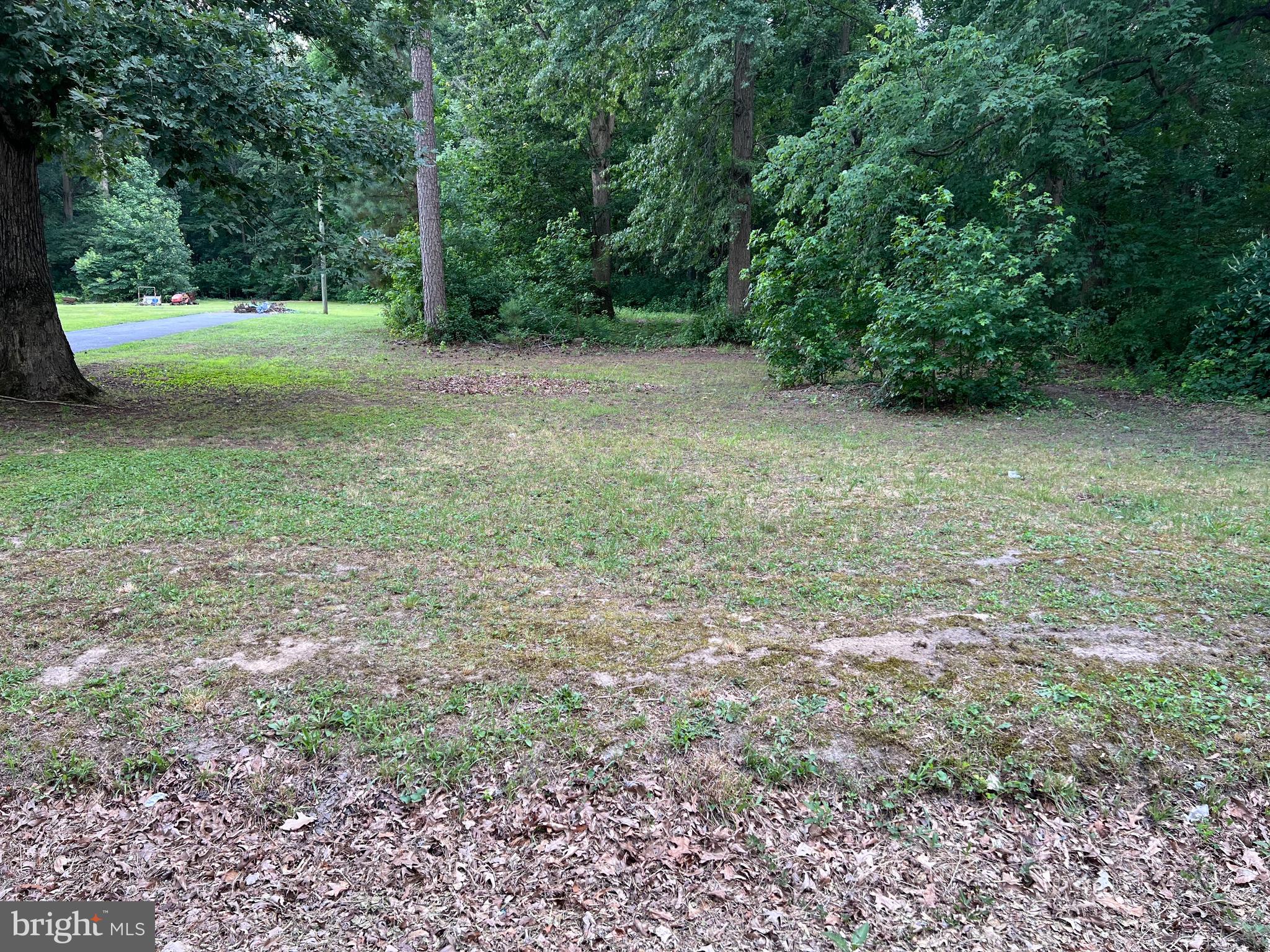 Gun & Rod Club Road Houston, DE 19954 - Photo 4 of 5