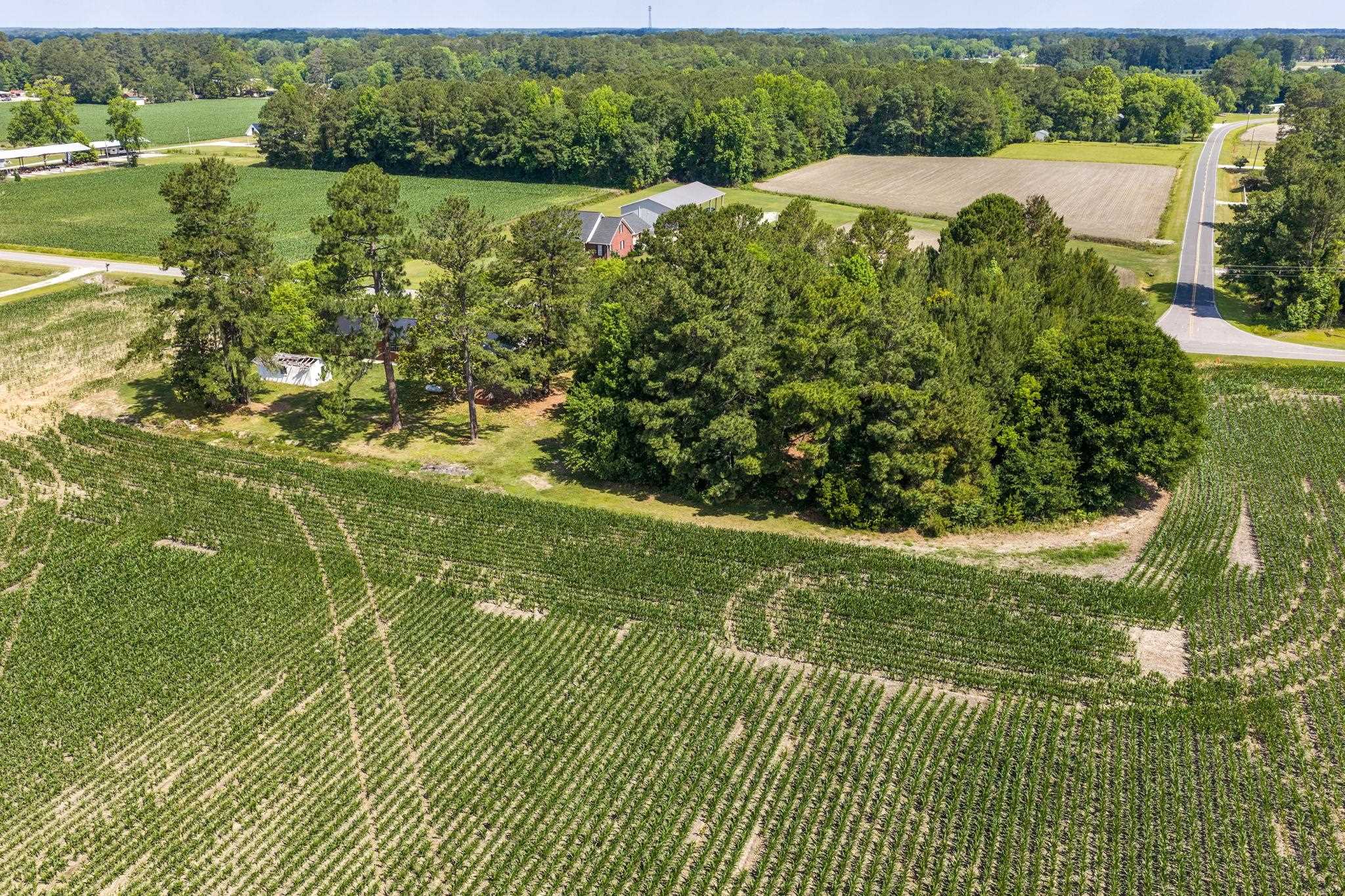 1273 Roseland Road Chadbourn, NC 28431 - Photo 44 of 52