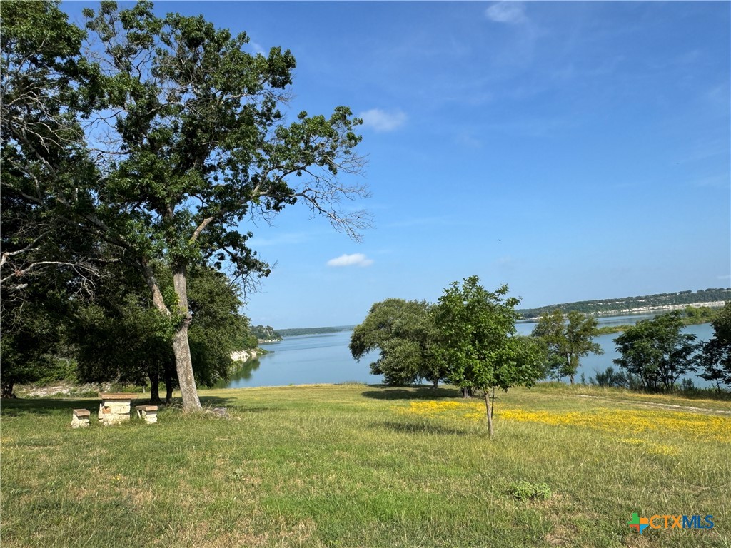 6031 Buggy Ride Road Temple, TX 76502 - Photo 9 of 13