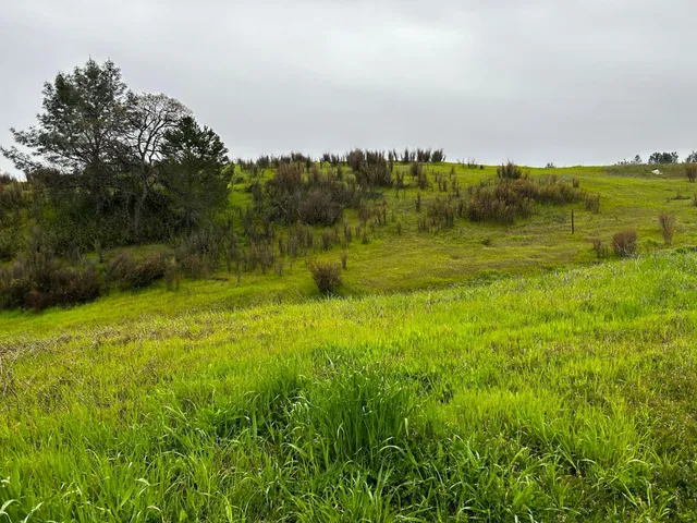 $18,000 | 17260 Hillcrest Drive, Corning, CA 96021